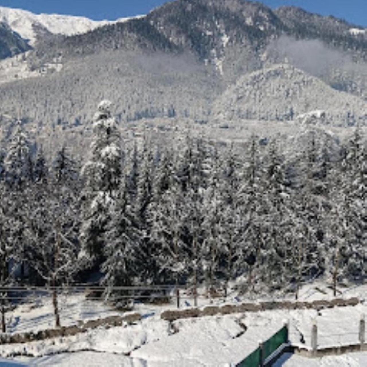 White Mountain Hotel Manāli Exterior foto